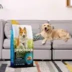 Adult Dog Sensitive Fish & Rice Recipe