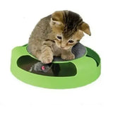 Cat Toy Catch the Mouse