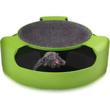 Cat Toy Catch the Mouse