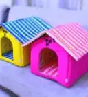 Cat house Single Large Size