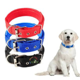 Dog Soft Collar