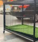 Dog Cage For Adult Dogs 4x2.5x2.5 with Carpet