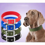 Dog Soft Collar