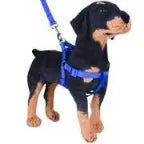 Dog Soft Harness with Leash