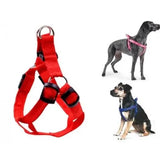 Dog Soft Harness with Leash