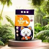 Cat Essentials Starter Kit Basic