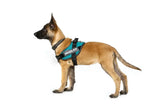 K9 Dog Harness
