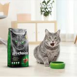 Pro36 Lamb & Rice Recipe | Adult Cat