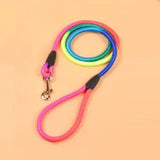 Puppy Leash Multi Color
