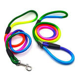 Puppy Leash Multi Color