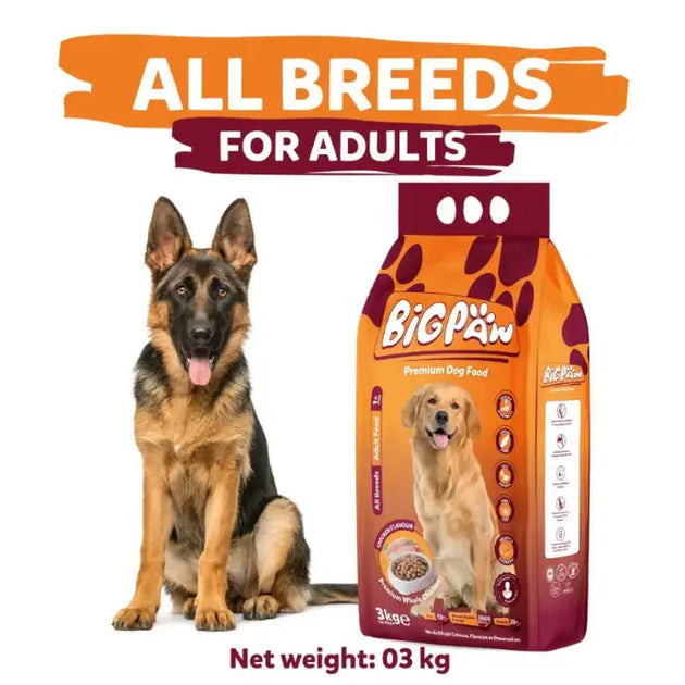 Big Paw Dog Food 3kg