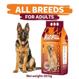 Big Paw Dog Food 3kg