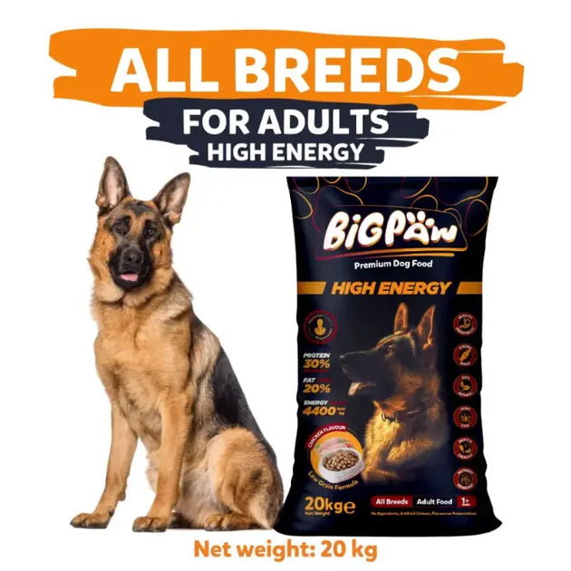 Big Paw High Energy 20kg Dog Food