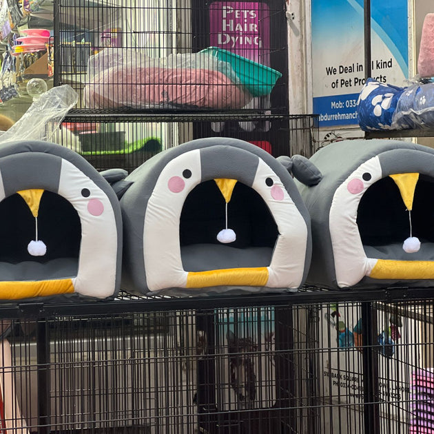 Cat House Penguin