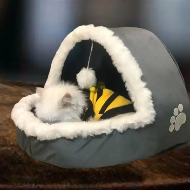 Cat House igloo