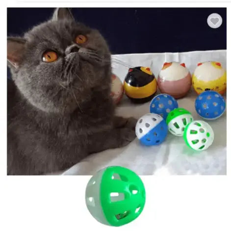 Cat Essentials Starter Kit Premium