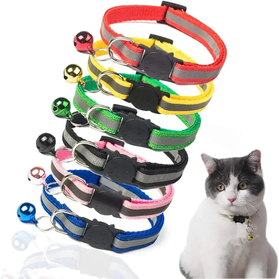 Cat Essentials Starter Kit Premium