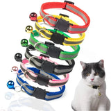 Cat Essentials Starter Kit Premium