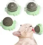 Cat Nip Single (AB 0068)