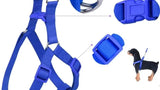 Dog Soft Harness with Leash