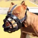 Dog Muzzle Rubber