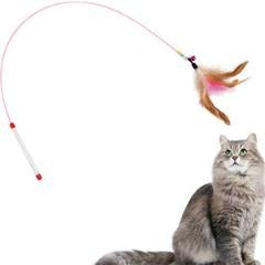 Cat Essentials Starter Kit Basic