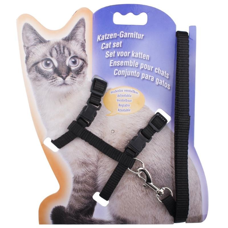 Cat Essentials Starter Kit Basic