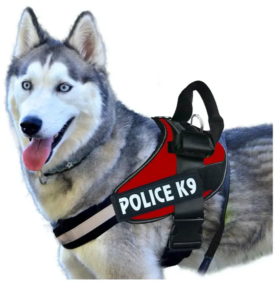 K9 Dog Harness