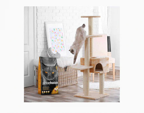 Prochoice Cat Food Chicken & Rice Adult Cat (Pro 32)