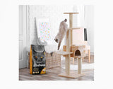 Prochoice Cat Food Chicken & Rice Adult Cat (Pro 32)