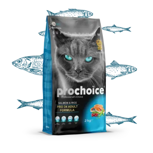 Pro34 Salmon & Rice Recipe | Adult Cat