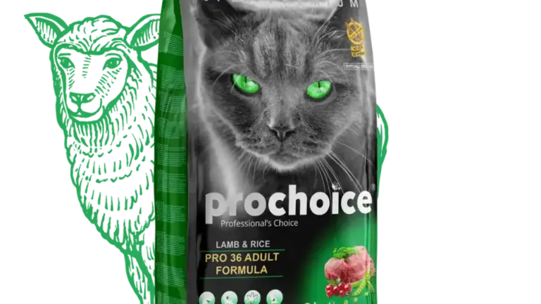 Pro36 Lamb & Rice Recipe | Adult Cat