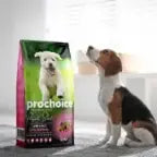 Puppy Perfect Start Lamb & Rice Recipe
