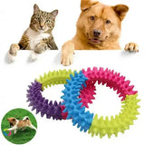 Ring Teather/ Chew Toy For Dogs (AB 329)
