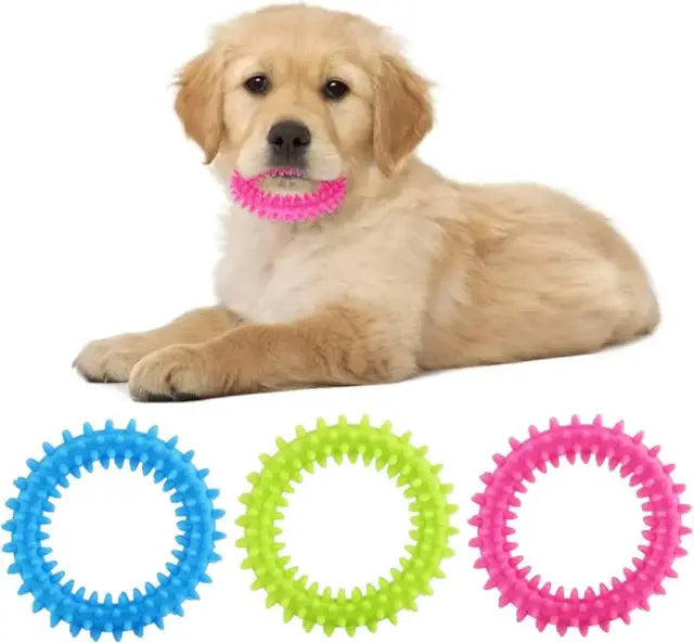 Ring Teather/ Chew Toy For Dogs (AB 329)