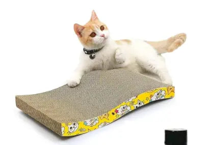 Cat Essentials Starter Kit Premium
