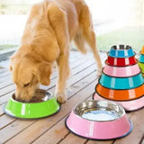 Steel Bowl Colorful For Pets (Cats & Dogs)