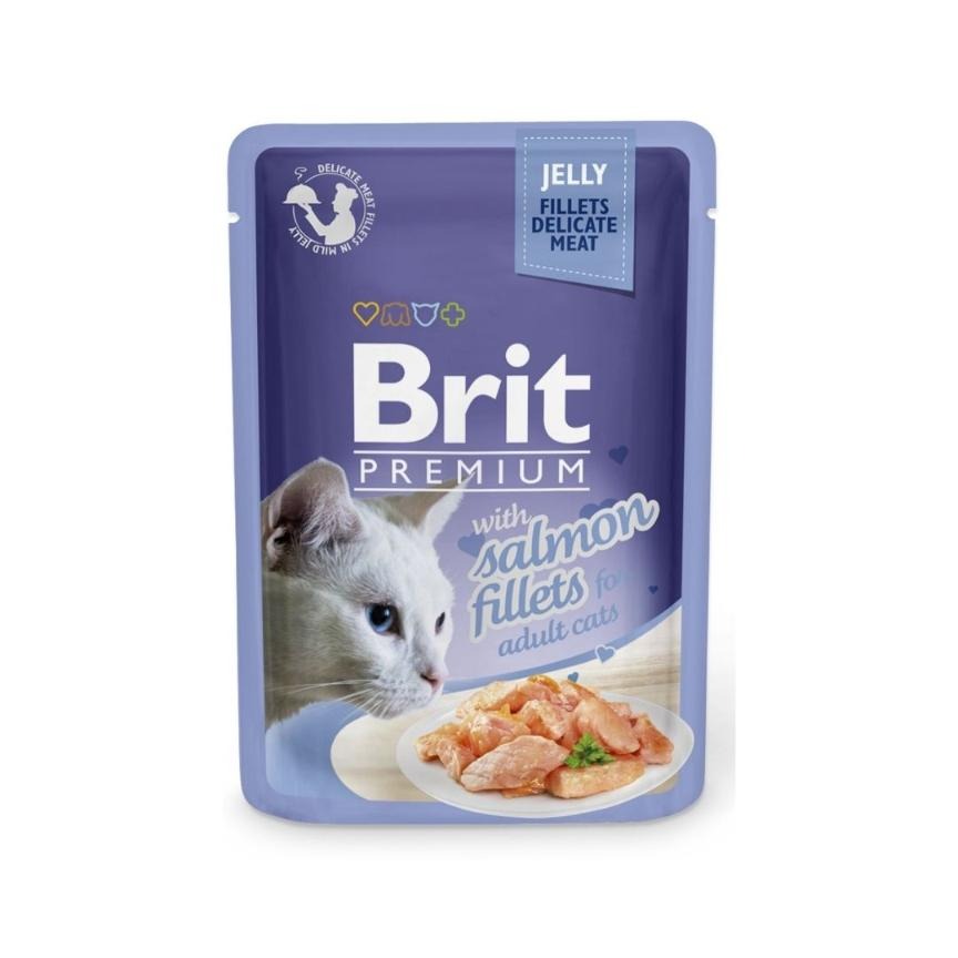 Cat Essentials Starter Kit Basic