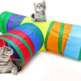 Cat Tunnel