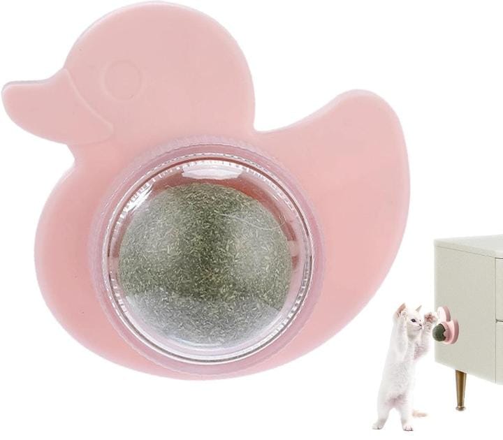 Cat Nip For Cats Duck Shaped
