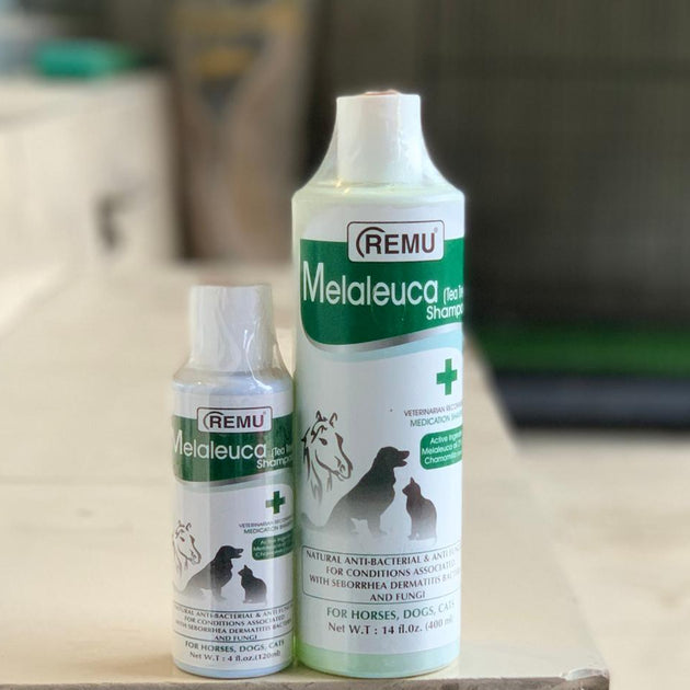 Remu Medicated Shampoo Melaleuca